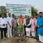हरिद्वार सासंद ने सेवा पर्व पर पौधरोपण कर दिया हरियाली का संदेश