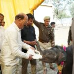 वन्यजीव संरक्षण एवं प्रबंधन को सशक्त बनाने की दिशा में निरंतर प्रयास: सुबोध उनियाल