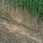 लक्सर क्षेत्र के 12 ग्रामों में भूमि खरीद-फरोख्त व भूमि उपयोग परिवर्तन पर रोक
