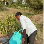 पेड़ चलते हैं… हमने बोला और वह चल दिया हमारे साथ